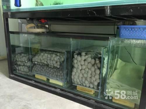 鱼缸国产滤材测评视频,揭秘鱼缸水质守护者的真实表现