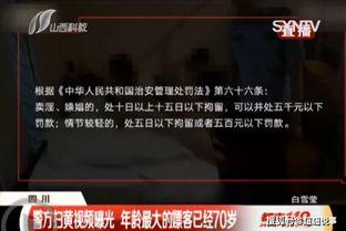 国产黄色嫖娼视频网站,暗流涌动的网络罪恶