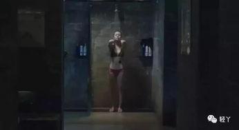 国产恐怖农家乐视频,揭秘国产恐怖片中的神秘农家乐