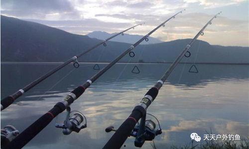 国产船竿测评视频大全集