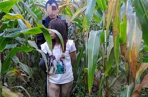 国产女人玉米地视频,揭秘乡村风情与生活画卷