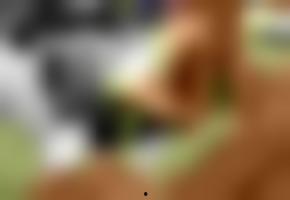 国产欧美在视频视,视频生成领域的异彩纷呈